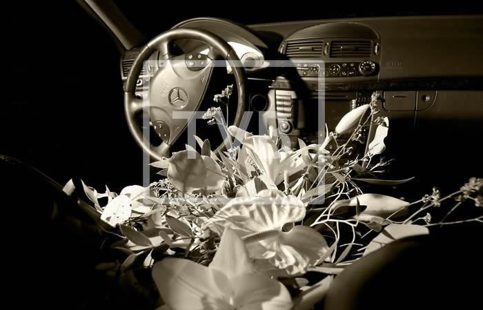 Coches Con Conductor93