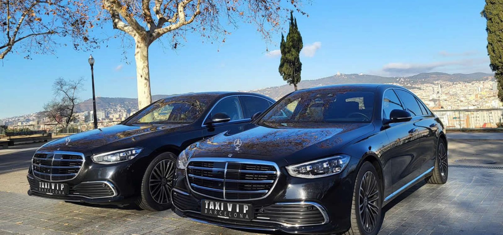 Mercedes S Con Conductor 