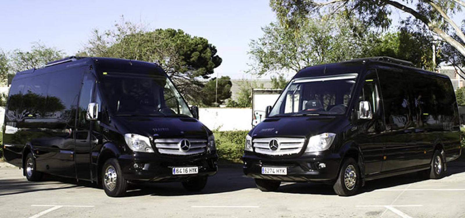 Minibus con conductor