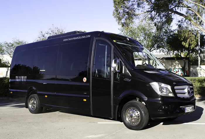 ALQUILER MINIBUS CON CHOFER