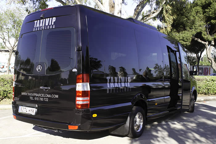 ALQUILER MINIBUS LUJO